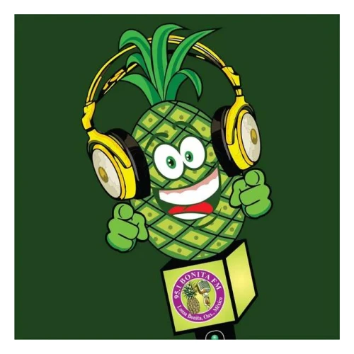 Bonita FM 95.1