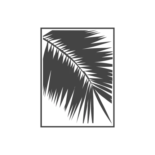 Palmera Blanca radio - Daystream