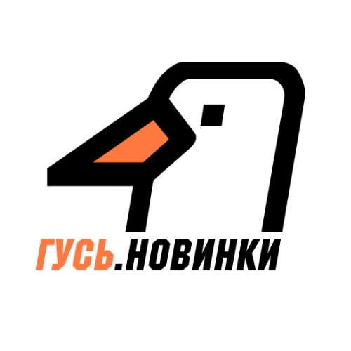 РАДИО ГУСЬ